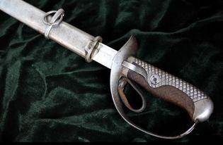 军刀新骑士57最新爆料,神秘爆料揭示全新剧情转折与角色命运